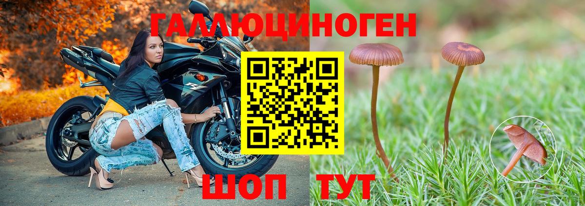 Псилоцибиновые грибы мицелий Вязьма