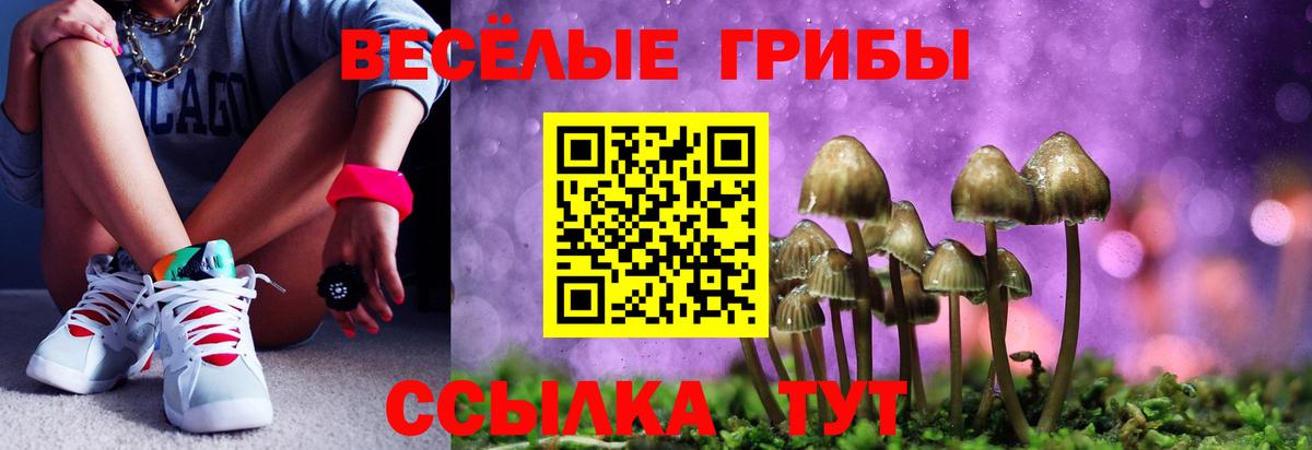 Псилоцибиновые грибы Psilocybe  Вход с VPN  Вязьма  купить наркоту  Галлюциногенные грибы ЛСД 